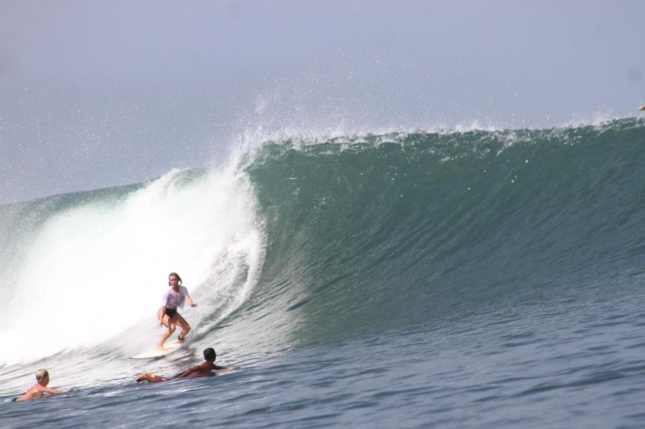 Hotel Medewi Secret Surfcamp Pulukan Esterno foto